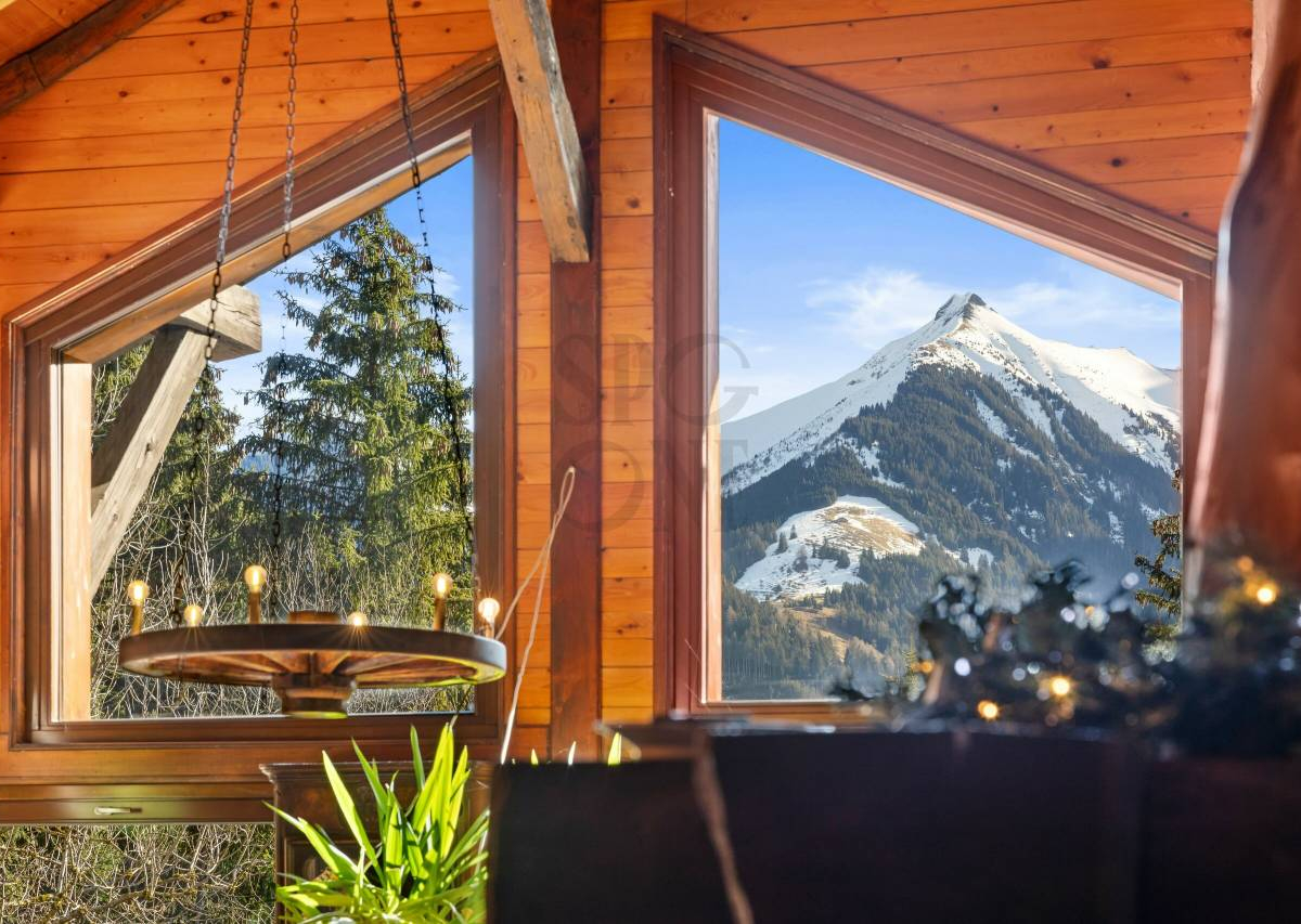 Unique chalet with mountain view